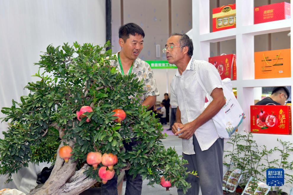 fg棋牌授权